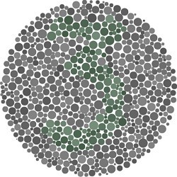 1. Angka berapa yang kamu lihat ?