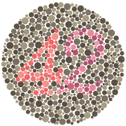 4. Angka berapa yang kamu lihat ?