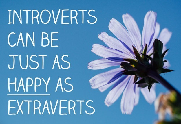 Introvert tidak kalah senangnya dengan ekstrovert, terlepas dari apa yang mungkin Anda baca.