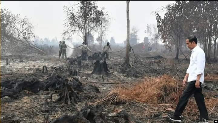 Renungan Bersama Perihal Banjir Kota Dan Kebakaran Hutan