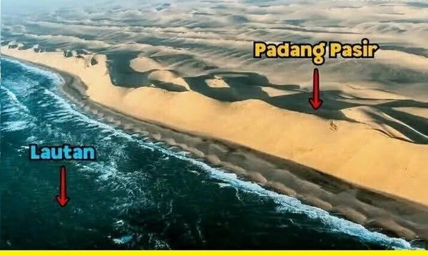 Menakjubkan ! Di Namibia, Ada Laut Yang Berbatasan Langsung Dengan Gurun Pasir